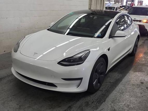 TESLA MODEL 3 2023 5YJ3E1EA7PF506765 image
